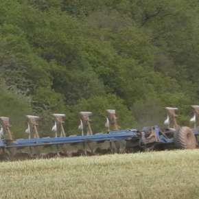 Pługi Rabe Werk na korbanek.pl