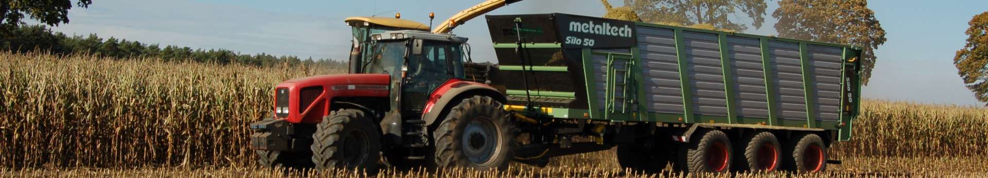 Ciąnik rolniczy Massey Ferguson 6270 z przyczepą Metaltech Mirosławiec Silo pracujący w polu przy kukurydzy 