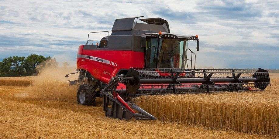 Kombajn Massey Ferguson BETA w trakcie pracy w polu