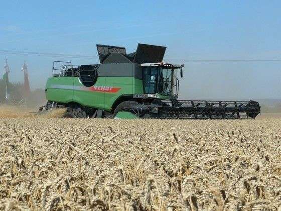 Kombajn zbożowy FENDT Kombajn zbożowy FENDT podczas koszenia widok z prawej strony