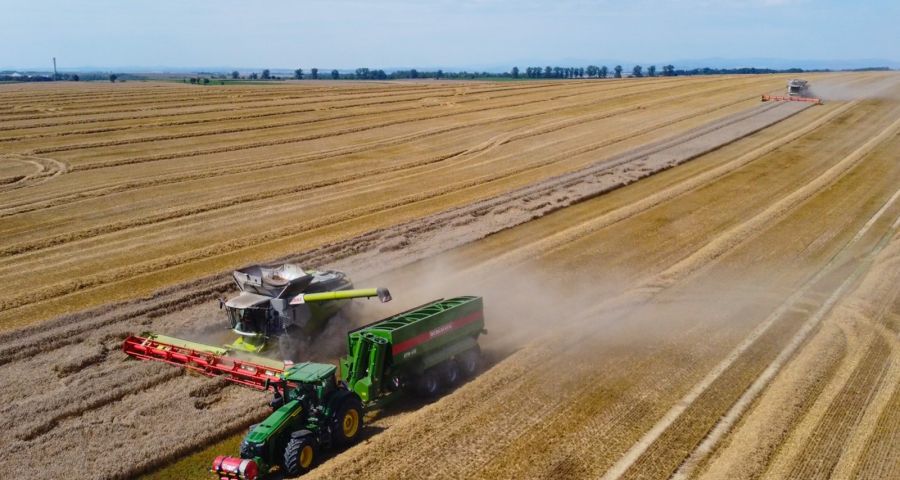 Dwa największe Lexiony 8900