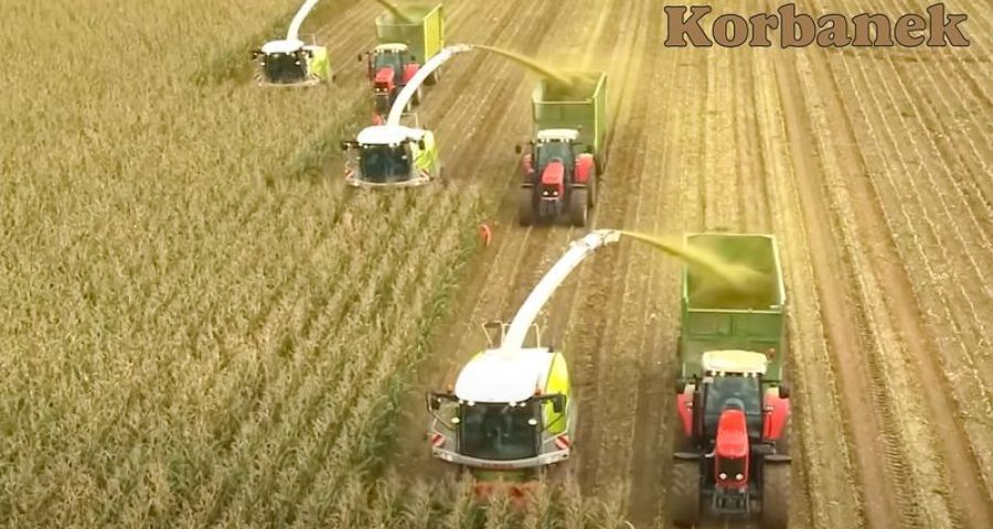 Praca w polu - sieczkarnie Jaguar Claas współpracujące z przystawkami Kemper