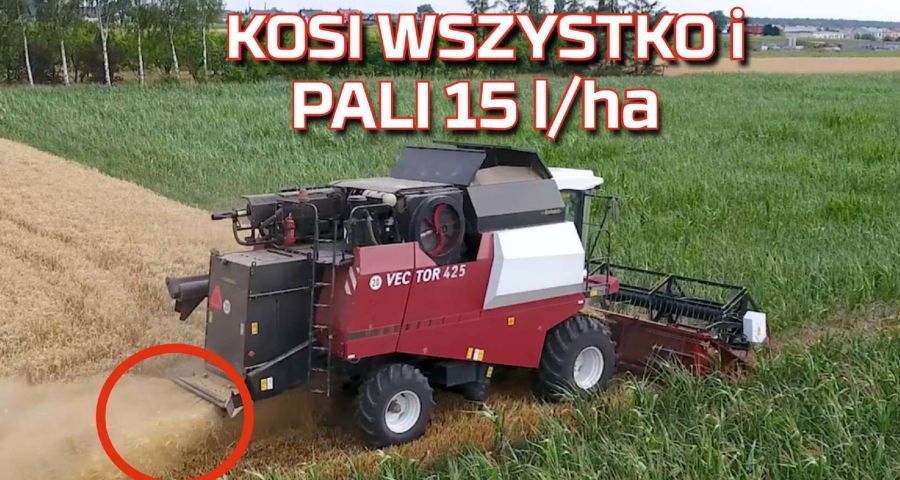Tapeta kombajnu zbożowego Rostselmash Vector podczas żniw 2019 koszący wszystko od Korbanek www.korbanek.pl