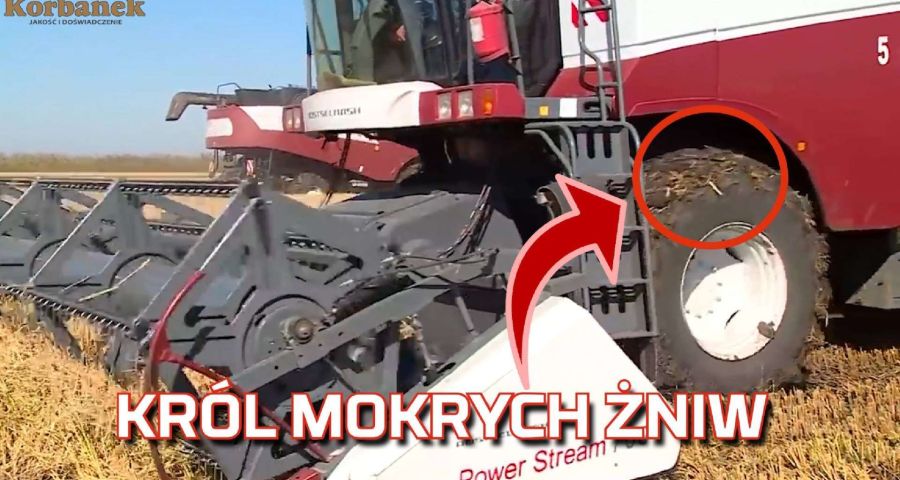 Tapeta kombajnu zbożowego Rostselmash podczas mokrych żniw na polu gdzie błoto bez gąsienic jedzie i kosi 2019 od Korbanek