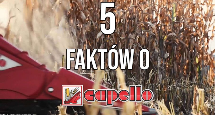 Tapeta z przystawką do kukurydzy capello podczas małych żniw 2019 5 faktów o opinia test od www.korbanek.pl
