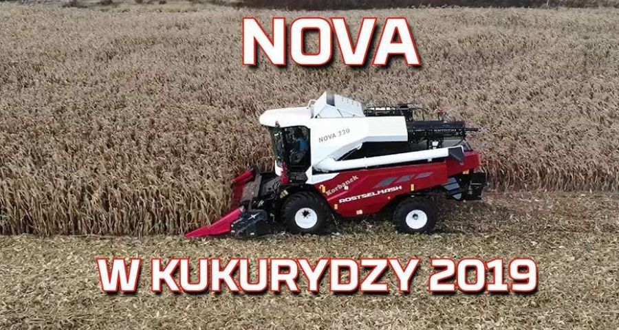 Tapeta z Kombajnem Rostselmash Nova 330 podczas żniw w kukurydzy na ziarno nowy nabytek od www.korbanek.pl