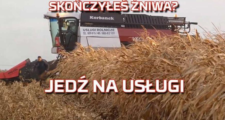 Tapeta z Kukurydza 2019 Żniwa na popcorn kombajnem zbożowym Rostselmash Vector od www.Korbanek.pl
