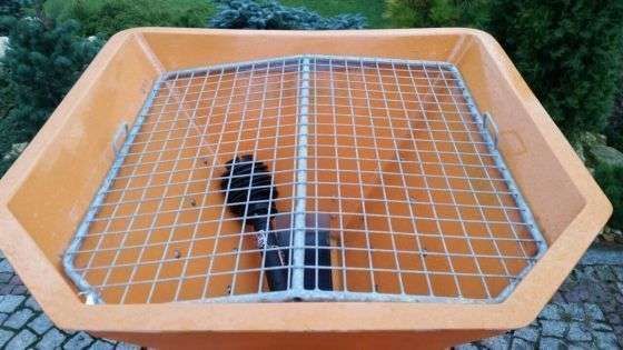 Sito anty zbrylające w piaskarce Samasz Sand 400