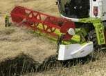Kombajn zbożowy Claas podczas koszenia