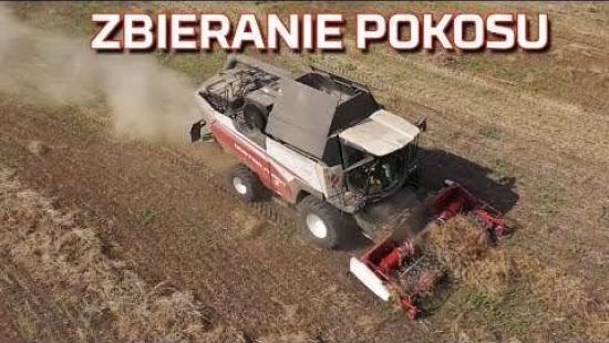 Embedded thumbnail for Żniwa kombajnem RSM 161 po pokosówce KSU 1 Rostselmash | Nowy nabytek