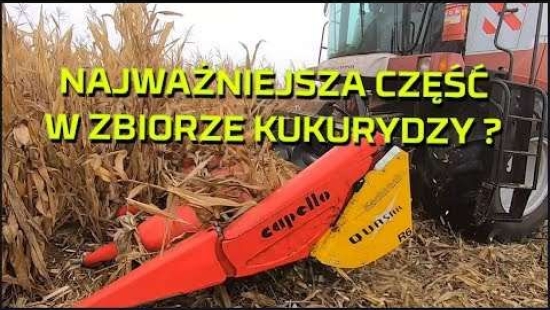 Embedded thumbnail for PRZYSTAWKA DO KUKURYDZY - najważniejsza część kombajnu ? | Nowy nabytek | Capello | Rostselmash