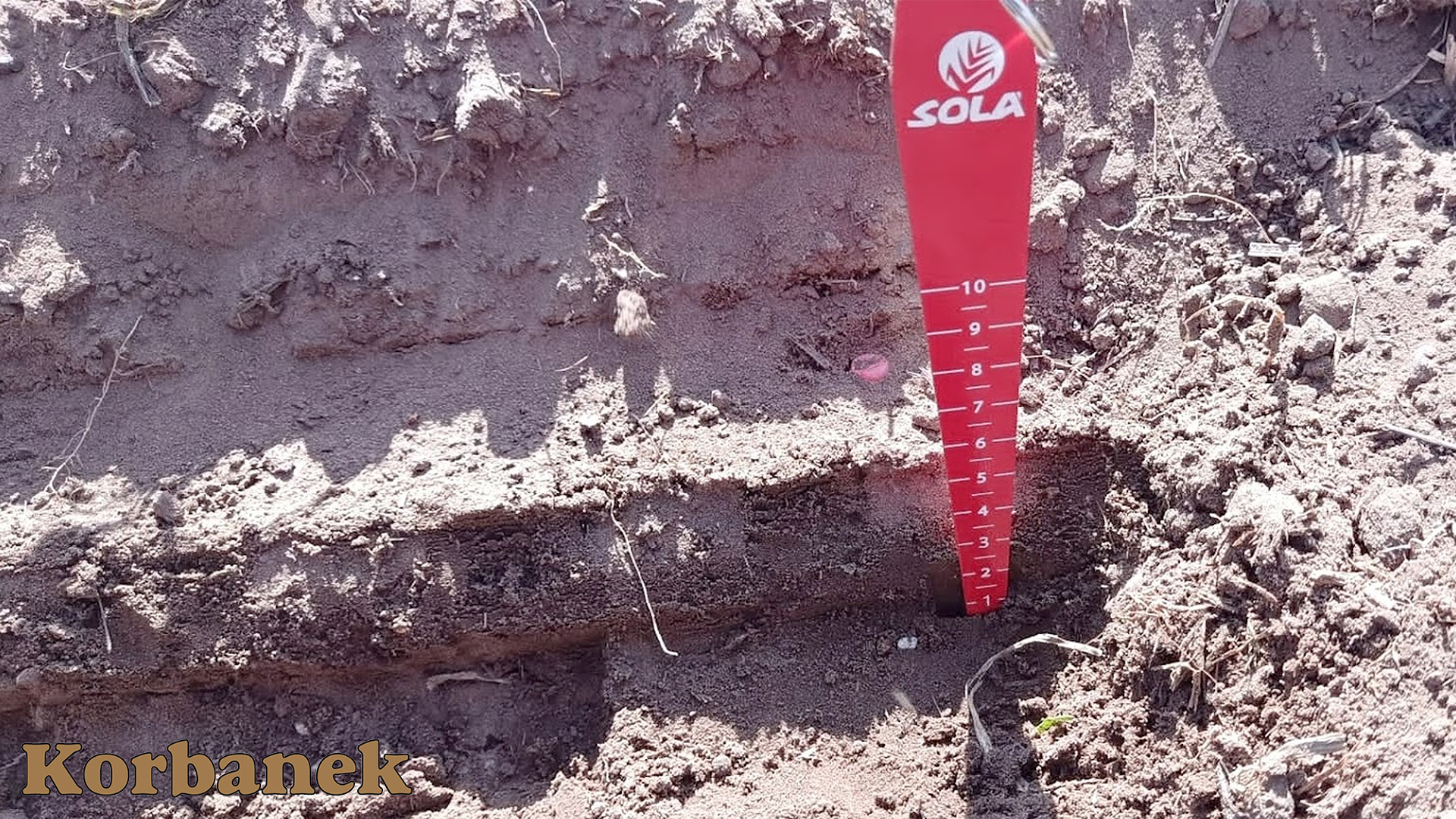 Podsiew nawozem granulowanym w dawce 200 kg/ha na głębokość ok. 10 cm, czyli poniżej wysiewu ziarna kukurydzy i obok linii siewu (ok. 5-6 cm).