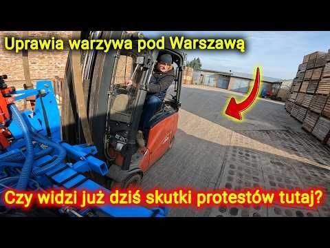 Outlaw 50 Polaris atv kolor limonkowy Quad dla dzieci napęd na tył ośka felgi stalowe blokada prędkości flaga z tyłu pojazdu 