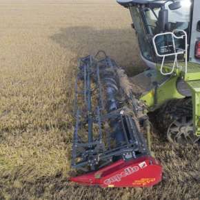 Capello Grain System składany heder do kombajnu na korbanek.pl