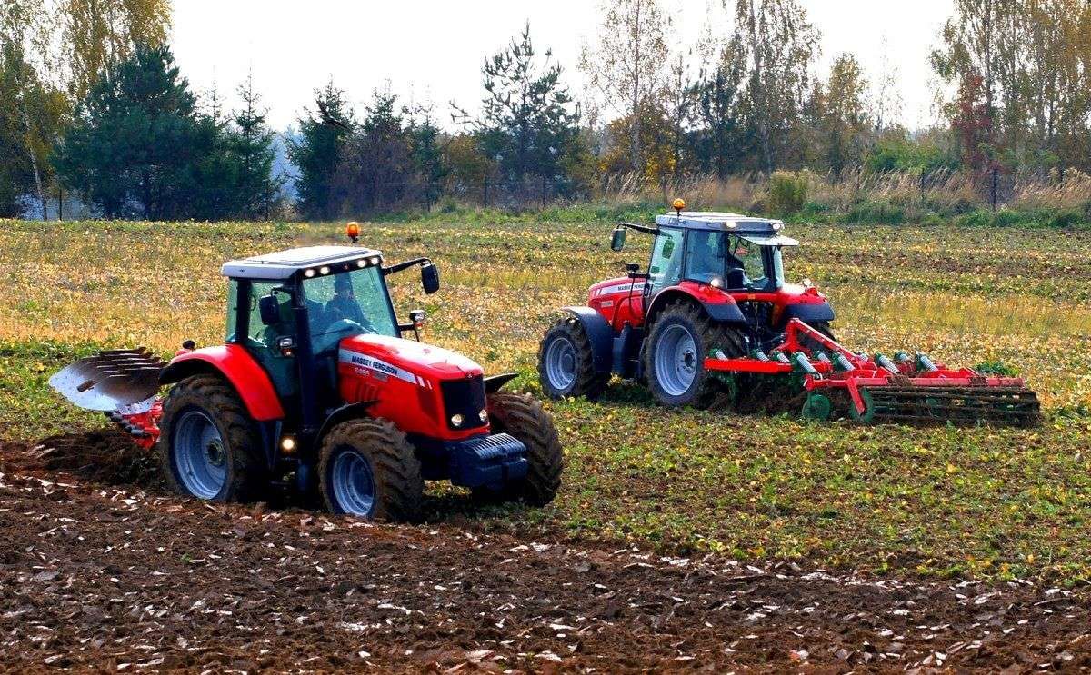 ciągniki Massey Ferguson podczas prac polowych jeden z nich talerzuje drugi orze