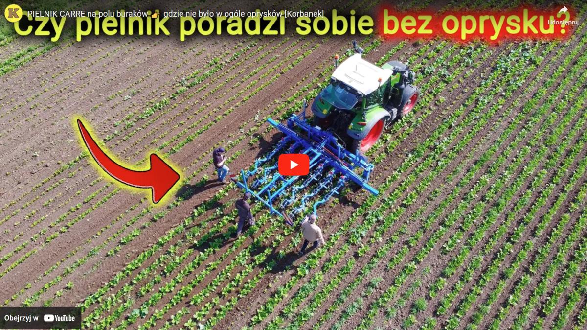Film z YouTube