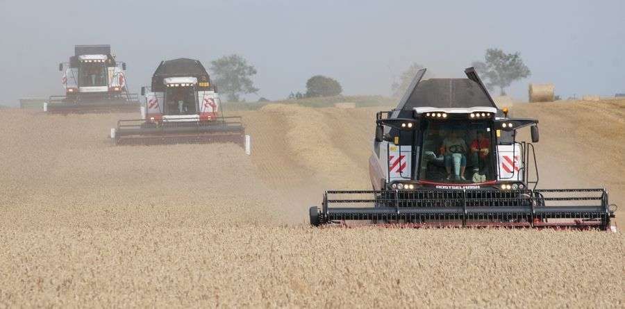 akcja żniwna 2017 kombajny zbożowe Rostselmasch Acros 595, Vector 425 i RSM161 podczas pokazów dla dziennikarzy