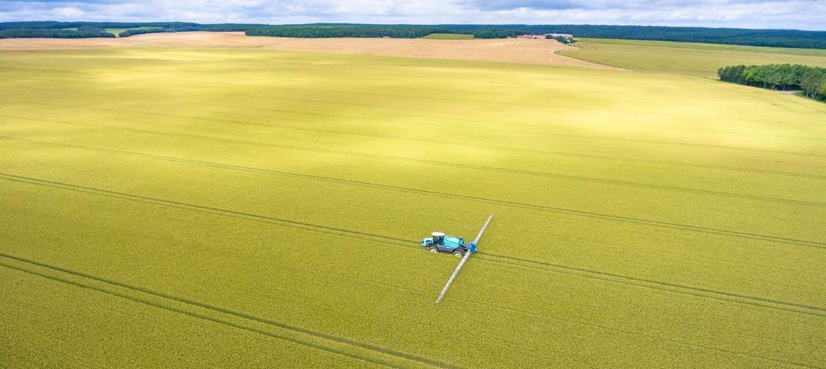 Opryskiwacz samojezdny RAPTOR w ścieżkach technologicznych podczas oprysku