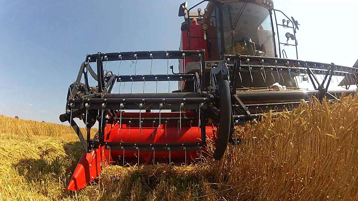 Capello Grain System w pracy z bliska