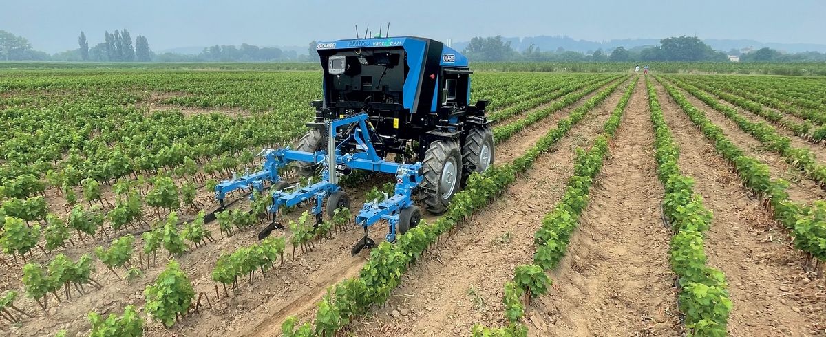 Robot autonomiczny do pielenia warzyw