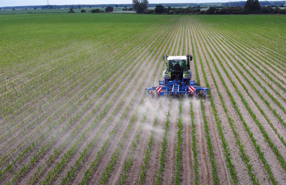 Pielnik 6-rzędowy do kukurydzy CARRE ECONET SGI