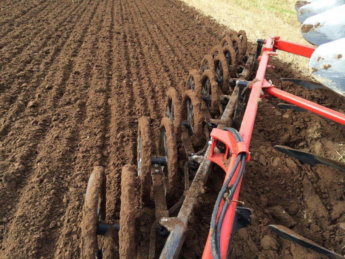 Tapeta zespół sprzedaży maszyn i części w filii Wierzchowiska w Centrali Korbanek www.korbanek.pl