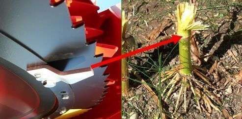Łopatki specjalnego kształtu w przystawkach Kemper Łopatki specjalnego kształtu służące do strzępienia ścierniska