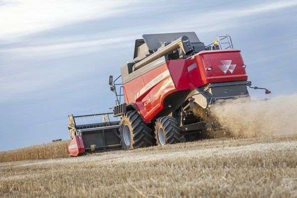 Dobrze rozdrobniona i rozrzucona słoma w Massey Ferguson Activa S