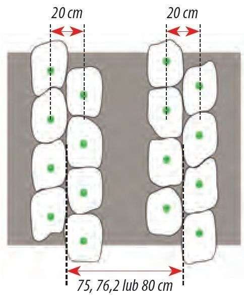 TWIN ROW z wymiarami TWIN ROW z wymiarami