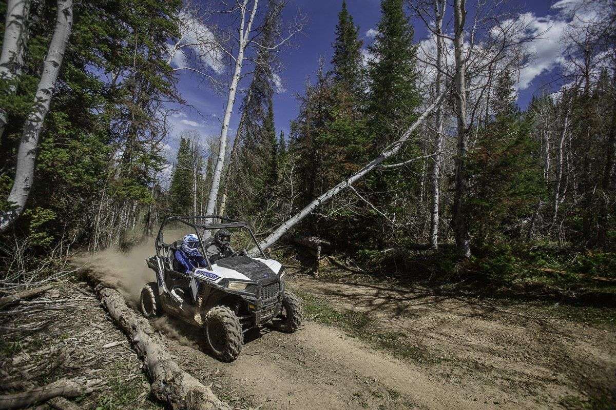Polaris RZR 900 EPS podczas jezdy w lesie Las szybka jazda Quadem