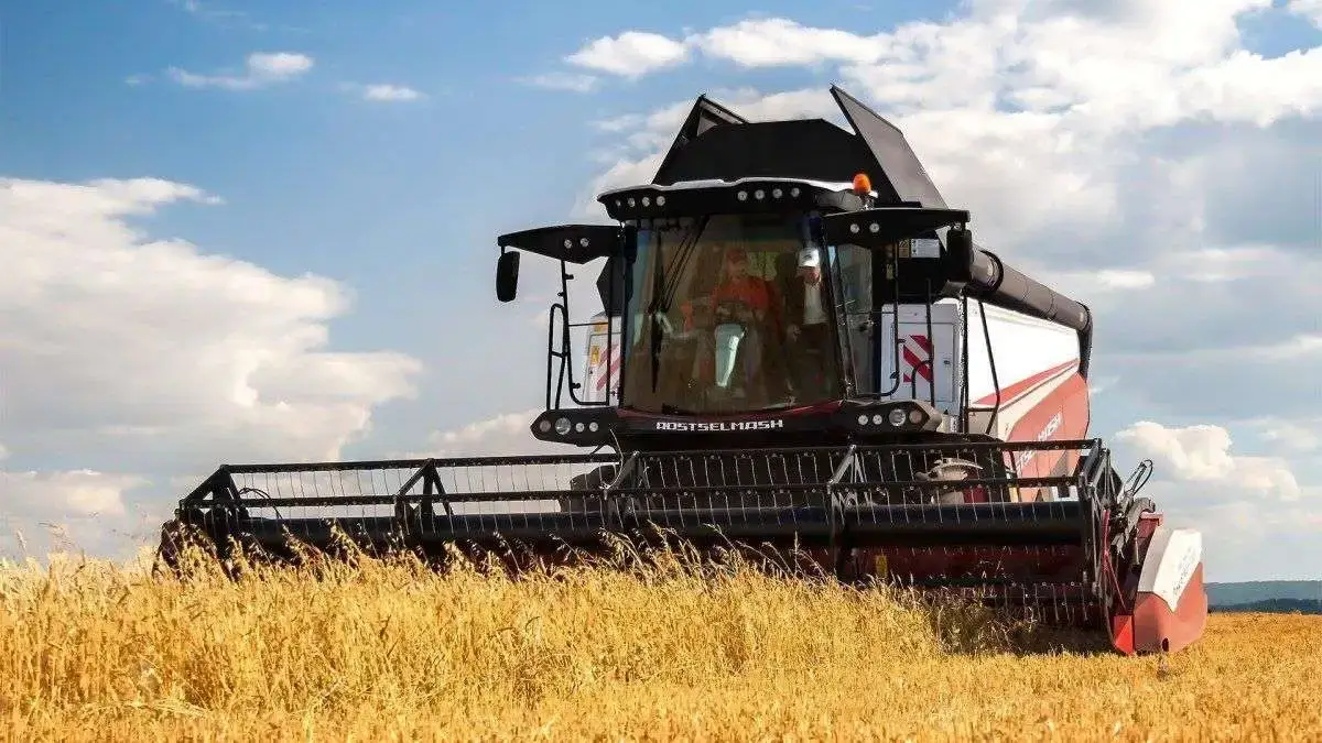 kombajn Rostselmash RSM 161 omłot zboża www.korbanek.pl Rostselmash RSM 161 kombajn zbożowy podczas pracy