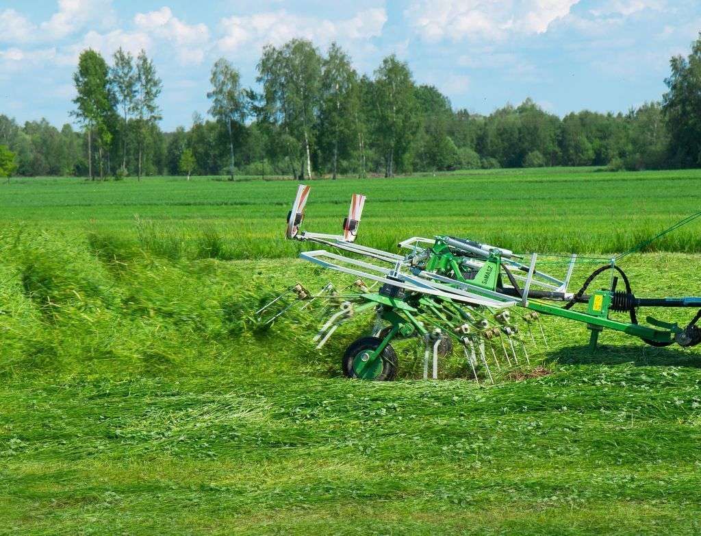 Przetrząsacz zaczepiany SAMASZ typ P4 531C