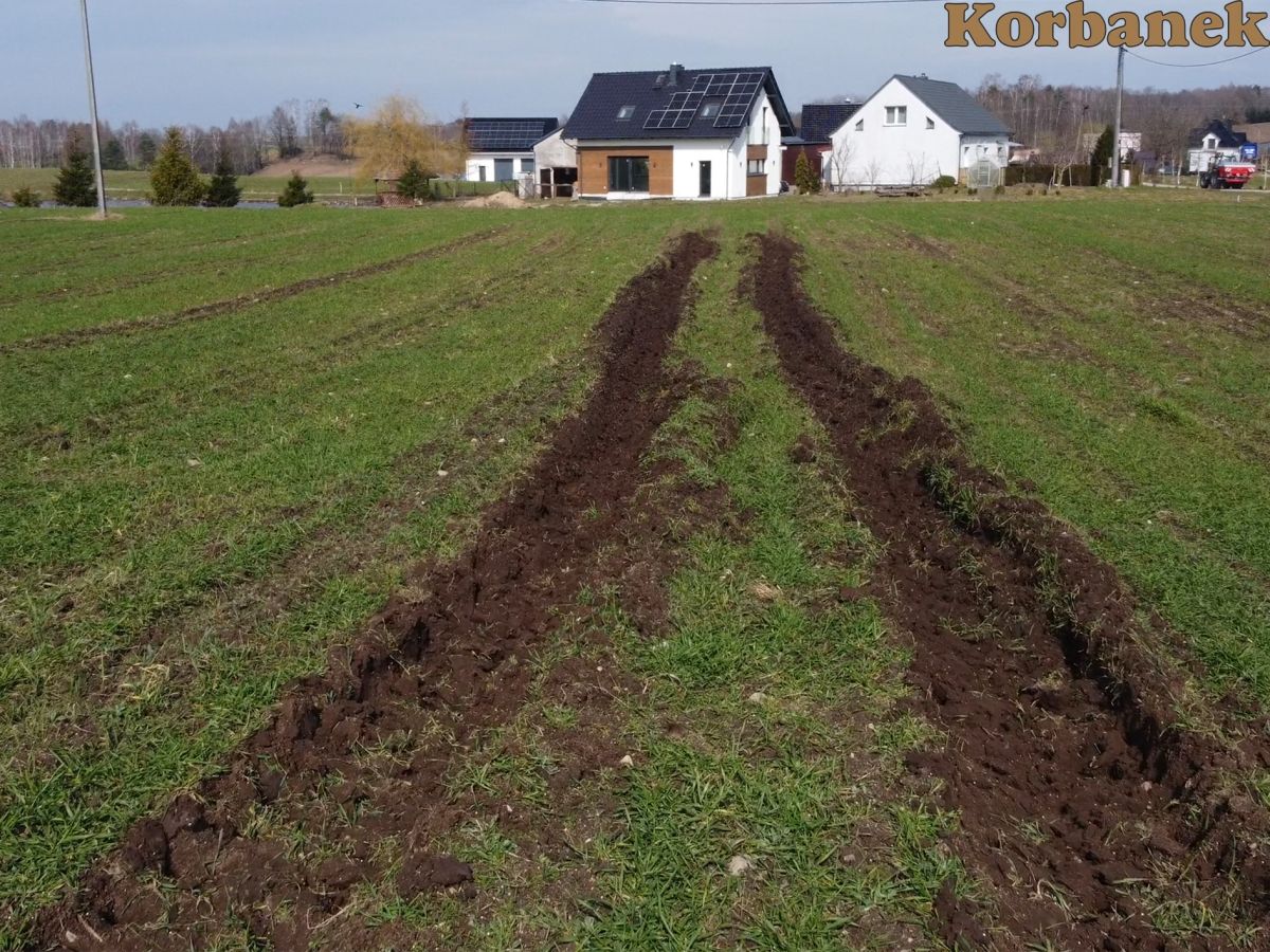 Koleiny na polu