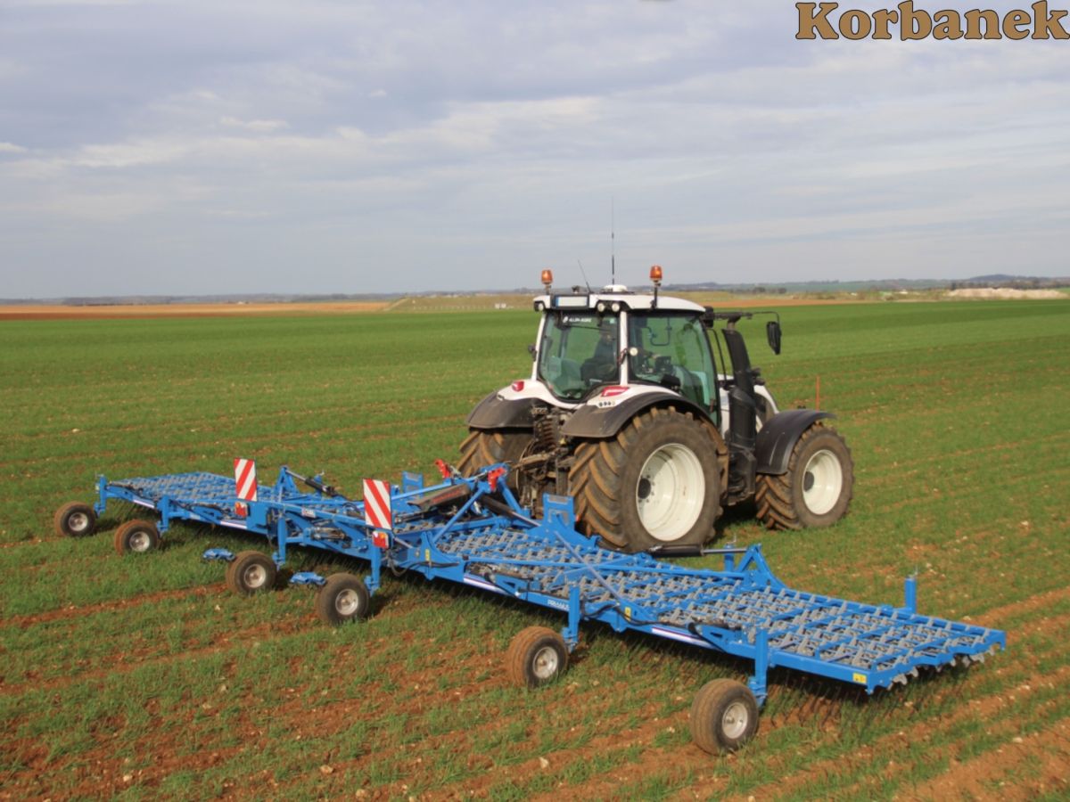 Chwastownik CArre