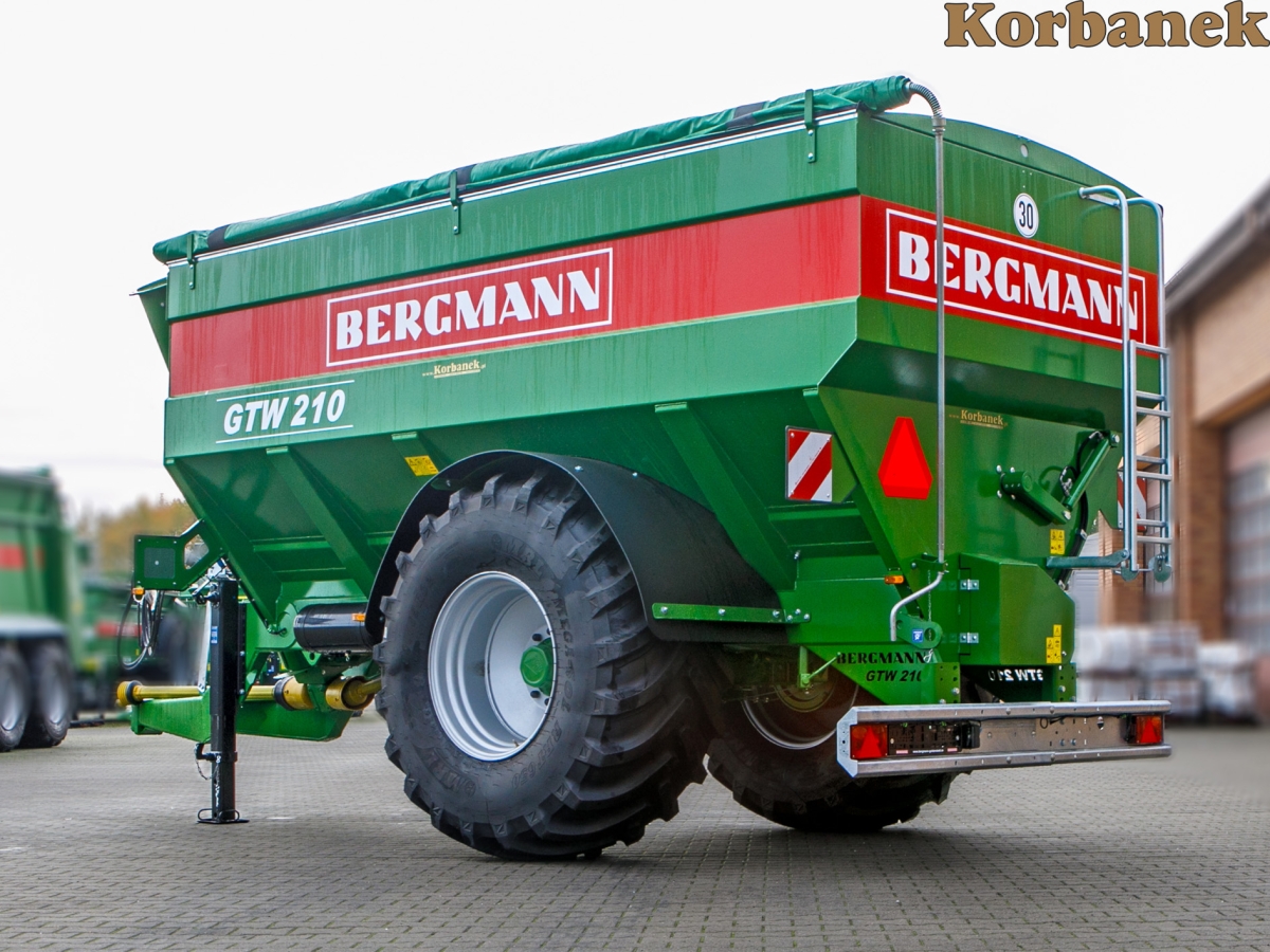 Bergmann GTW 210 Bergmann