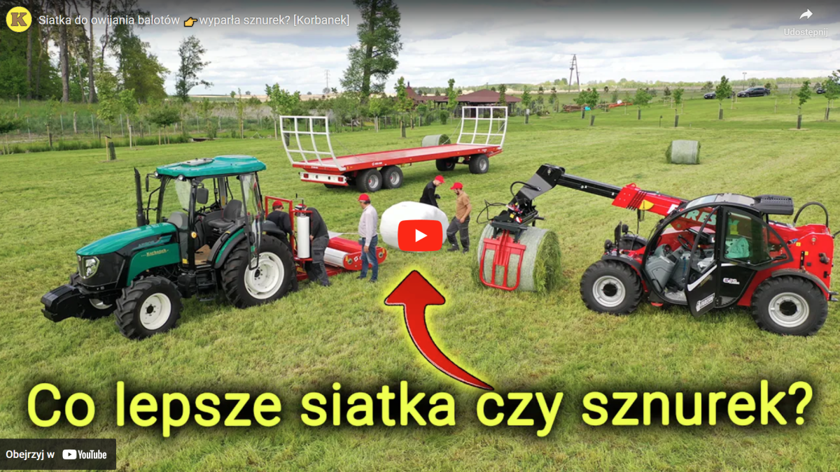 Siatka