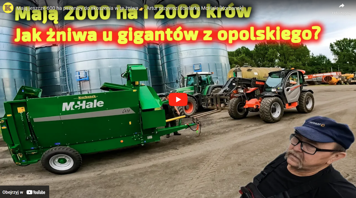 Zobacz film