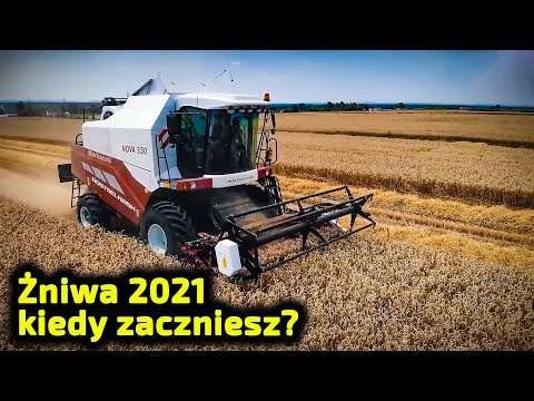 Embedded thumbnail for Żniwa 2021 Kto pierwszy zacznie? 5 kontenerowców z Arbosami płynie do Polski