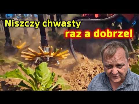 Embedded thumbnail for Tańsze i zdrowsze od chemii na chwasty  Pielnik mechaniczny