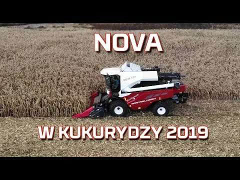 Embedded thumbnail for Zbiór kukurydzy na ziarno 2019 kombajn Nova 330 Rostselmash | WYDAJNOŚĆ | CZYSTOŚĆ