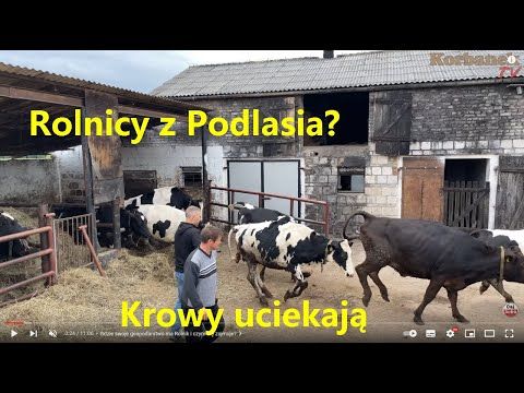 Embedded thumbnail for 20 godzin najcięższych prac Wielkopolski Rolnik przetestuje ładowarke MultiOne 11.6 [Korbanek]