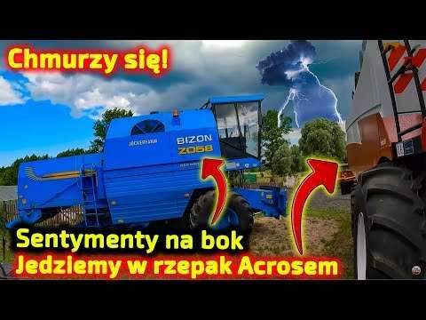 Embedded thumbnail for Jockerfarm i Rolnik z Hollywood zdecydowali Nie ryzykujmy, potrzebujemy wydajności! Bizon postoi